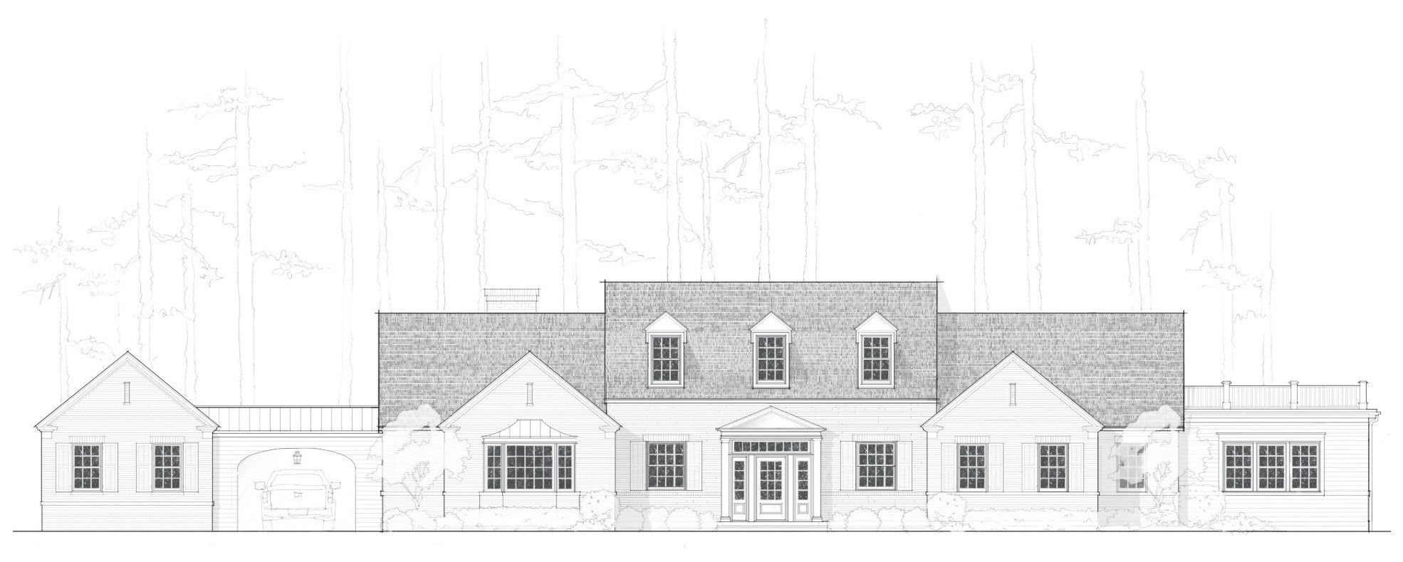 Azalea | Catalog #3501